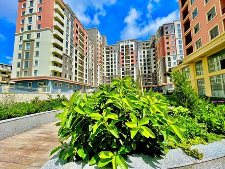 Объявление №6189497 - Баку, м. Кара Караев, 2-комн., 70 м², 4/12 этаж