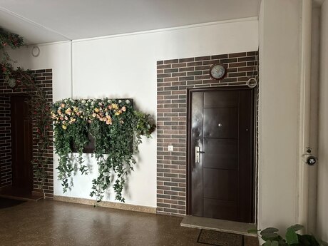 5-комн. офис - м. Элмляр Академиясы - 220 м²