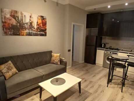 Elan №6308236 - Bakı, Şah İsmayıl Xətai m., 2 otaqlı, 60 m², 7/17 mərtəbə