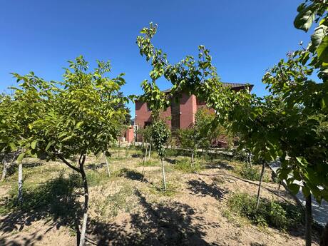 6 otaqlı həyət evi, 250 m², Novxanı: 300 000 ₼ 5