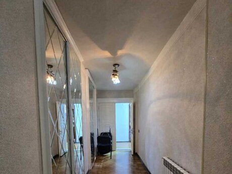 5-комн. офис - м. Низами - 150 м²