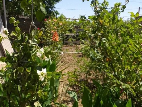 3 otaqlı həyət evi, 70 m², Qaraçuxur: 110 000 ₼ 3