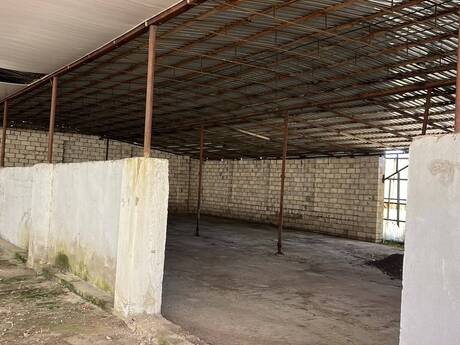 Obyekt - Türkan q. - 700 m²