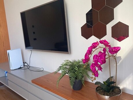 Kirayə 1 otaqlı mənzil, 57 m², Light House: 1 000 ₼/ay 4