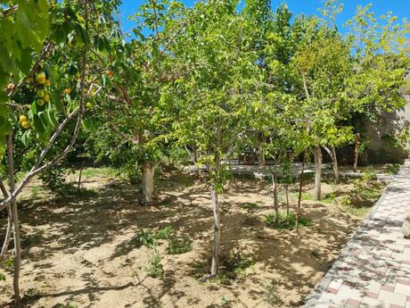 6 otaqlı həyət evi, 250 m², Biləcəri: 350 000 ₼ 4