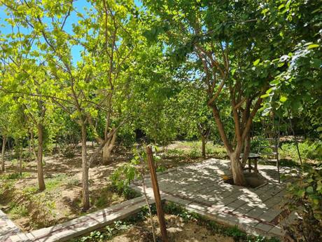 6 otaqlı həyət evi, 250 m², Biləcəri: 350 000 ₼ 5