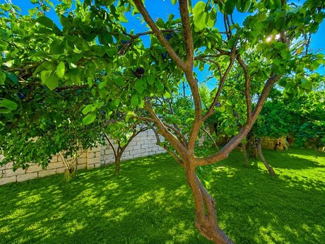 Fatmayıda 5 otaqlı həyət evi kirayə verilir, 100 m², 800 AZN/ay, şəkil 3 / 12