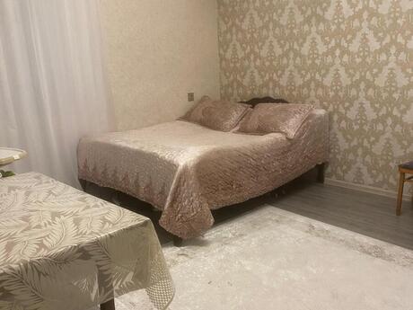 Gənclikdə 1 otaqlı həyət evi kirayə verilir, 39 m², 350 AZN/ay, şəkil 2 / 10