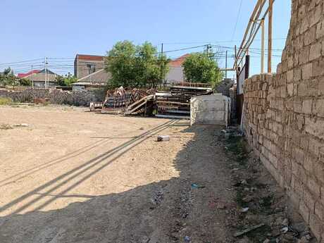 Torpaq - Zabrat q. - 20 sot
