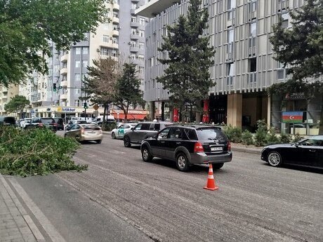 Elan №6317731 - Bakı, Nizami m., 60 m²