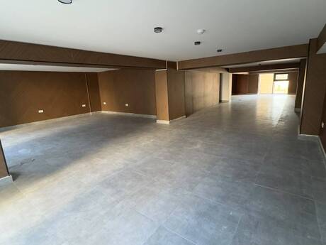 Объект - Сабаильский р. - 320 м²