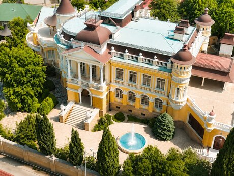 7 otaqlı həyət evi, 1 400 m², 8 Noyabr: 12 000 000 ₼ 3