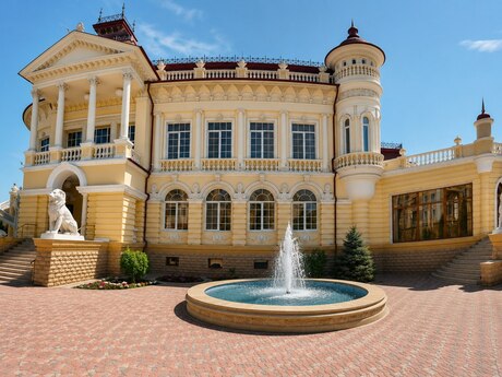7 otaqlı həyət evi, 1 400 m², 8 Noyabr: 12 000 000 ₼ 4