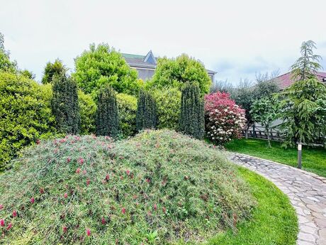 Bilgəhdə 6 otaqlı həyət evi kirayə verilir, 500 m², 1 500 AZN/ay, şəkil 3 / 12