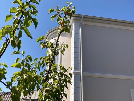 4 otaqlı həyət evi/bağ evi - Bilgəh q. - 145 m²