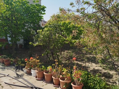 6 otaqlı həyət evi, 180 m², Görədil: 180 000 ₼ 3