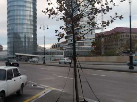 Kirayə 2 otaqlı mənzil, 70 m², Ağ şəhər: 1 400 ₼/ay 2