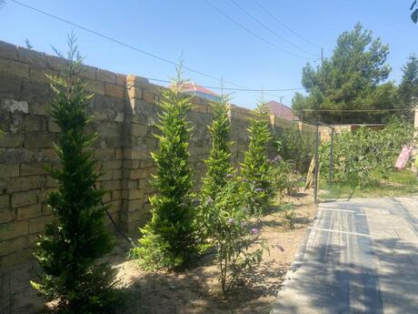 6 otaqlı həyət evi, 160 m², Novxanı: 213 000 ₼ 5
