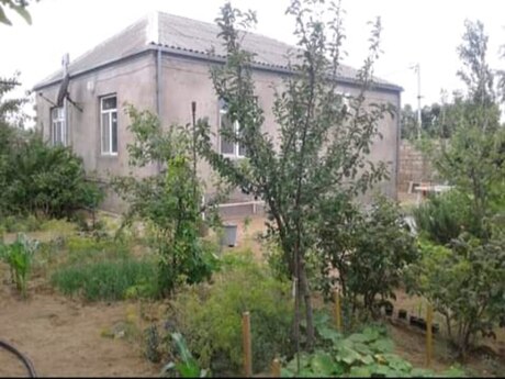 Объявление №6325763 - Баку, пос. Гала, 2-комн., 70 м²