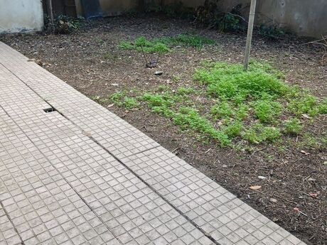 Объявление №6327035 - Баку, м. Насими, 12-комн., 600 м²