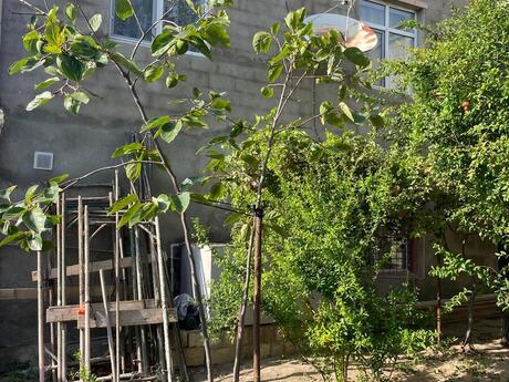 4 otaqlı həyət evi, 150 m², Novxanı: 150 000 ₼ 4