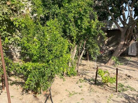 4 otaqlı həyət evi, 150 m², Novxanı: 150 000 ₼ 5