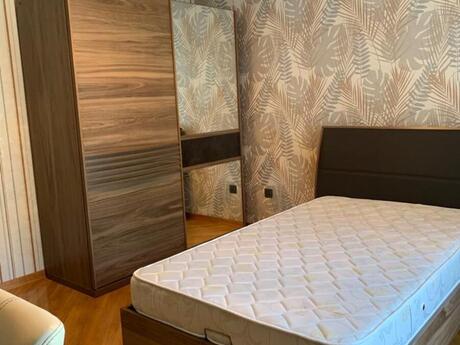7 otaqlı həyət evi/bağ evi - Şah İsmayıl Xətai m. - 450 m²