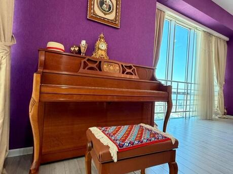 4-room apartment for rent, 220 m², Altes Plaza: 3 000 ₼/mo 5