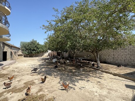 8 otaqlı həyət evi, 250 m², Hövsan: 195 000 ₼ 3
