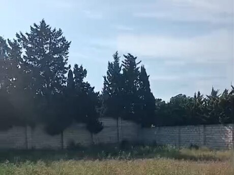 Объявление №6330358 - Баку, пос. Шувеляны, 27 сот