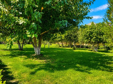 8 otaqlı həyət evi, 1 500 m², Bilgəh: 2 500 000 ₼ 5