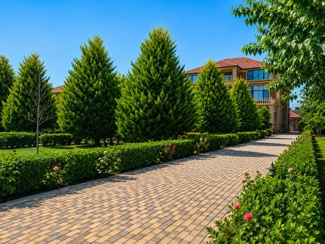 8 otaqlı həyət evi, 1 500 m², Bilgəh: 2 500 000 ₼ 3