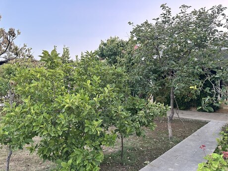 4 otaqlı həyət evi, 200 m², Görədil: 150 000 ₼ 5