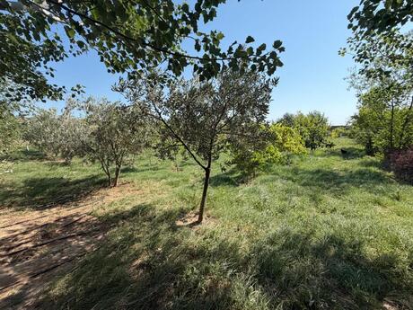 Сдаётся 4-комнатный дом, Nardaran, 400 м², 1 500 AZN/мес, фото 4 / 12