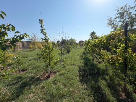 Сдаётся 4-комнатный дом, Nardaran, 400 м², 1 500 AZN/мес, фото 5 / 12