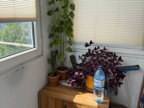 3 otaqlı mənzil, 95 m², 8 Noyabr: 215 000 ₼ 3