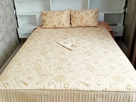 Kirayə 2 otaqlı mənzil, 50 m², İçəri Şəhər: 1 100 ₼/ay 3