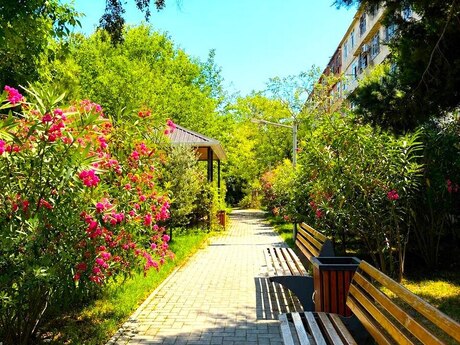 Elan №6338660 - Bakı, Qara Qarayev m., 2 otaqlı, 60 m², 1/5 mərtəbə