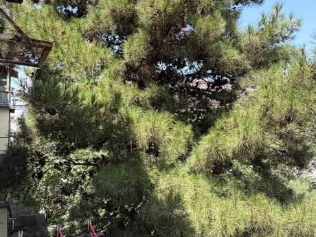 2 otaqlı mənzil, 50 m², Memar Əcəmi: 148 000 ₼ 2