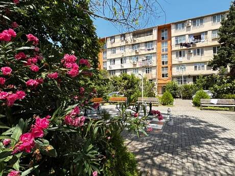 Объявление №6339477 - Баку, м. Кара Караев, 2-комн., 53 м², 1/5 этаж