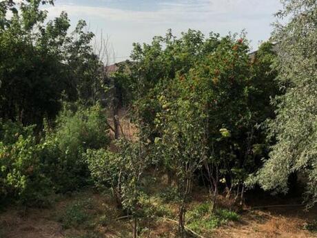 2 otaqlı həyət evi, 120 m², Şüvəlan: 240 000 ₼ 3