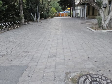 Obyekt - Elmlər Akademiyası m. - 238 m²