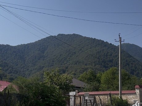Torpaq - Qəbələ - 38 sot