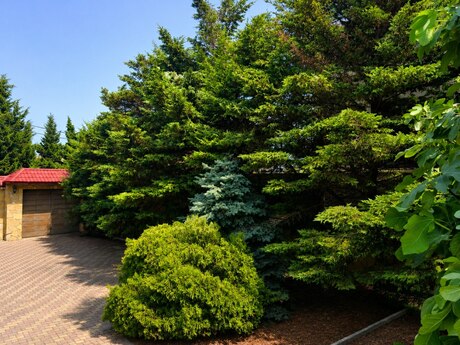 6 otaqlı həyət evi, 400 m², Novxanı: 435 000 ₼ 4