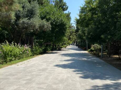 3 otaqlı mənzil, 100 m², Park Academy: 476 000 ₼ 4
