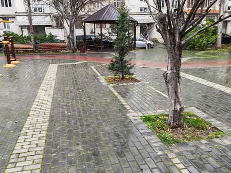Объявление №6341669 - Баку, м. Гянджлик, 2-комн., 46 м², 6/9 этаж