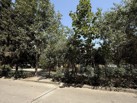 2 otaqlı mənzil, 65 m², Şah İsmayıl Xətai: 180 000 ₼ 4