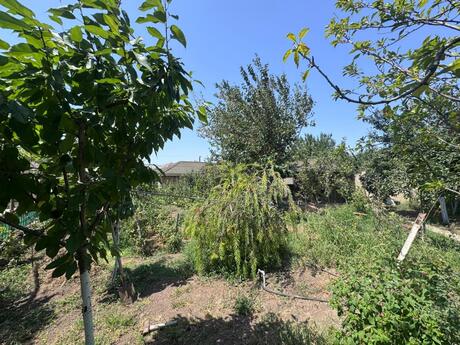 7 otaqlı həyət evi, 220 m², Mərdəkan: 415 000 ₼ 4