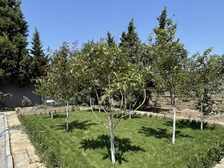 5 otaqlı həyət evi, 165 m², Novxanı: 175 000 ₼ 2