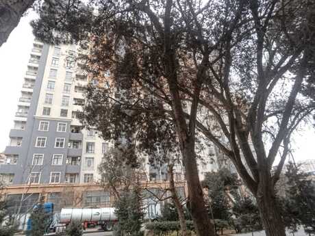 3 otaqlı mənzil, 85,4 m², Qara Qarayev: 228 000 ₼ 4